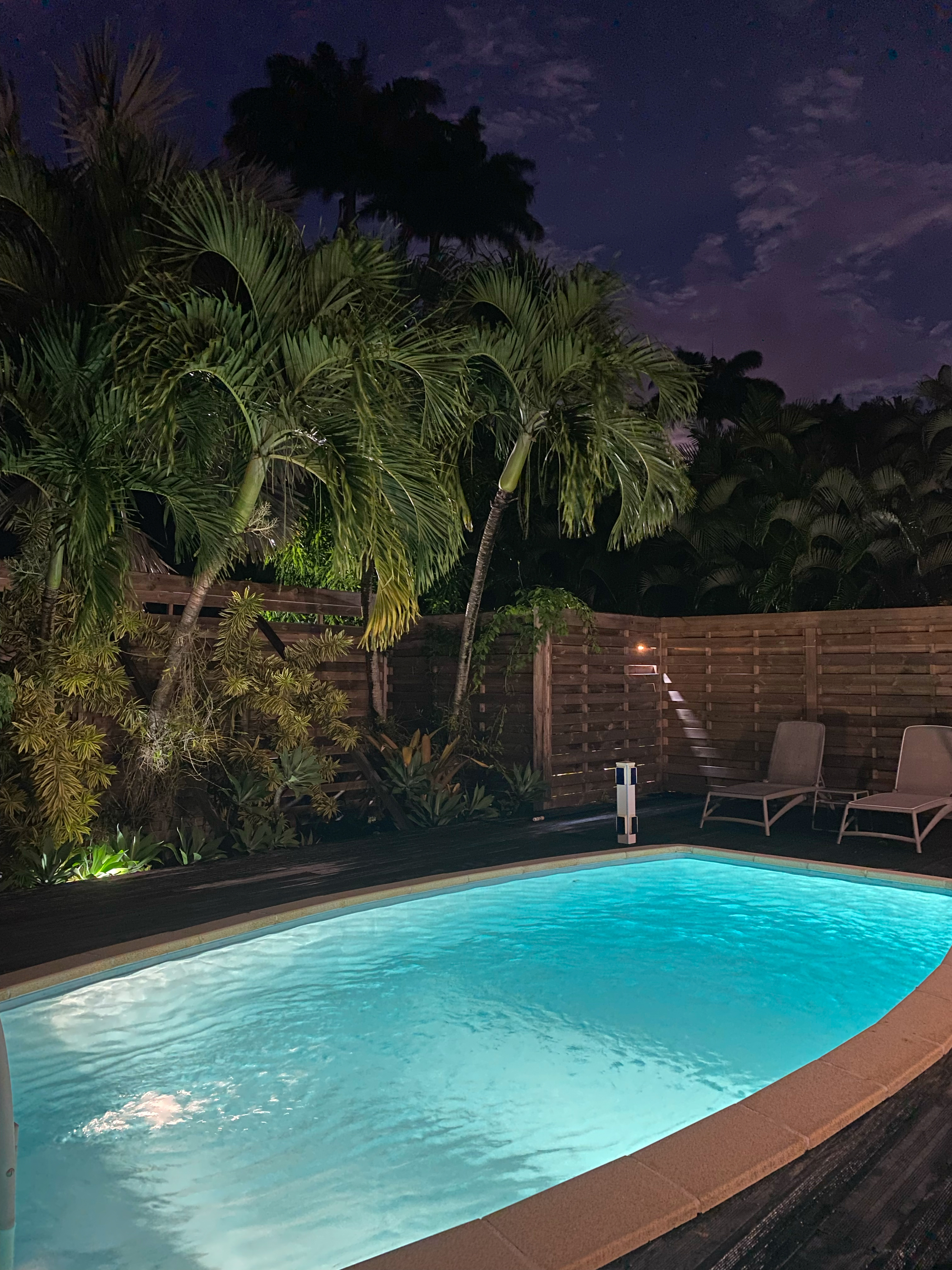 Villa Fleurs du Bonheur 19062_Piscine de nuit W.jpg